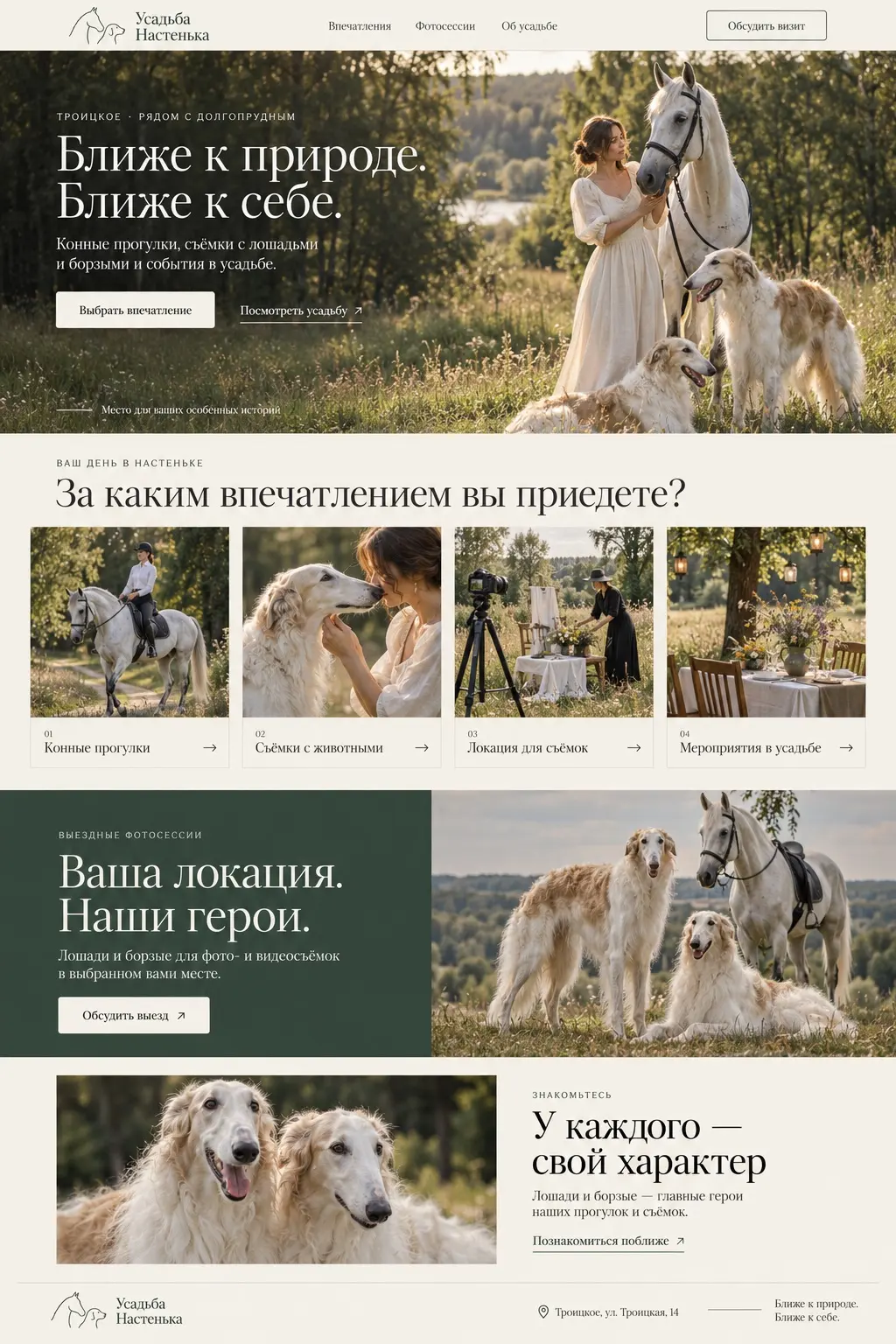 Иллюстрация конной прогулки