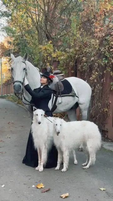Встречи с лошадьми и борзыми